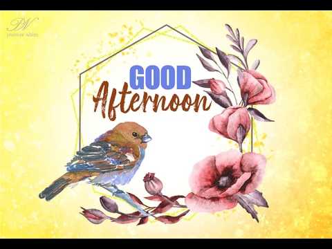 Bird Good Afternoon Wishes Video with Beautiful Nature Greetings