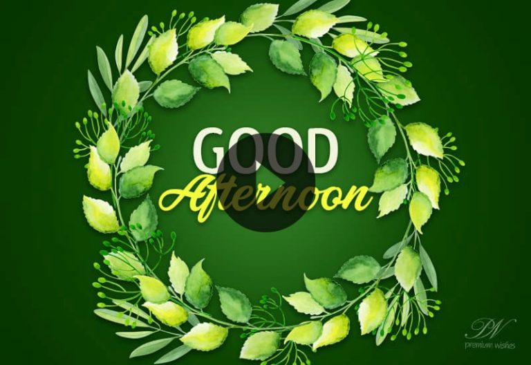 Refreshing Good Afternoon Wishes | Nature Leaf Greetings & Positive Messages Refreshing Good Afternoon Wishes | Nature Leaf Greetings & Positive Messages