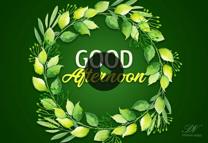 Refreshing Good Afternoon Wishes | Nature Leaf Greetings & Positive Messages