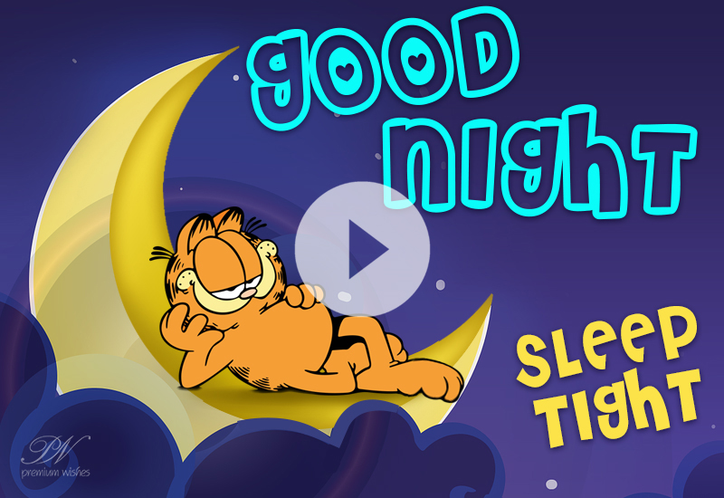 Cute Good Night Greetings Video with Sleep Well and Sweet Dreams Wishes Cute Good Night Greetings Video with Sleep Well and Sweet Dreams Wishes