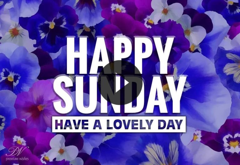 Happy Sunday Wishes Video with Beautiful Floral Greetings Happy Sunday Wishes Video with Beautiful Floral Greetings