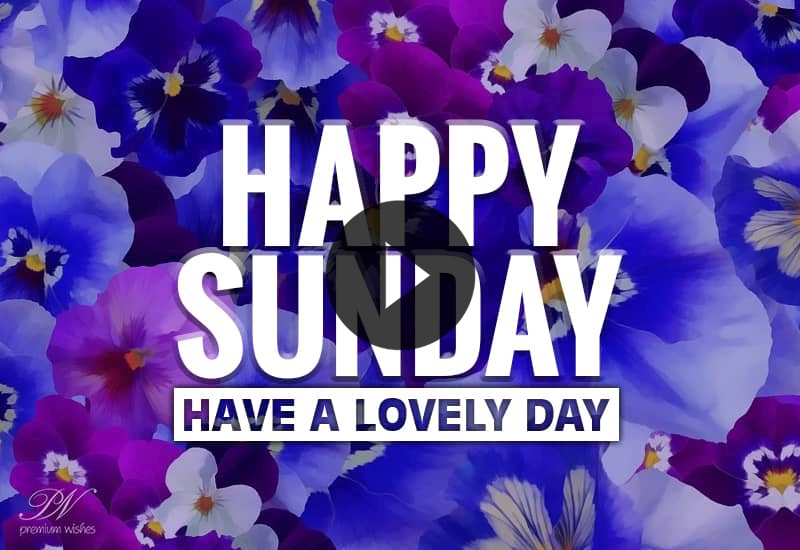 Happy Sunday Wishes Video with Beautiful Floral Greetings
