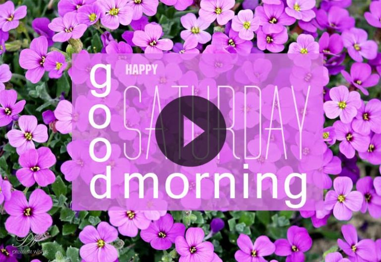 Happy Saturday Greetings Video with Floral Wishes for a Joyful Weekend