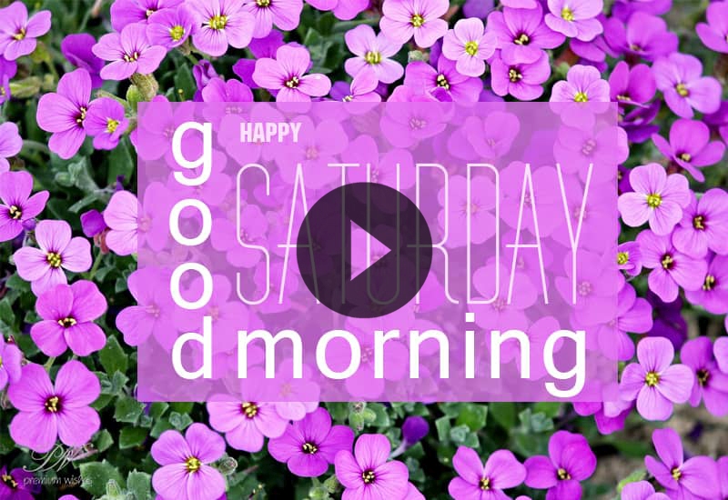 Happy Saturday Greetings Video with Floral Wishes for a Joyful Weekend Happy Saturday Greetings Video with Floral Wishes for a Joyful Weekend