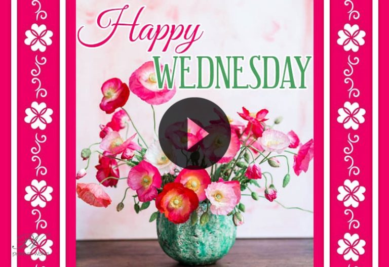 Happy Wednesday Wishes Video with Beautiful Flower Greetings