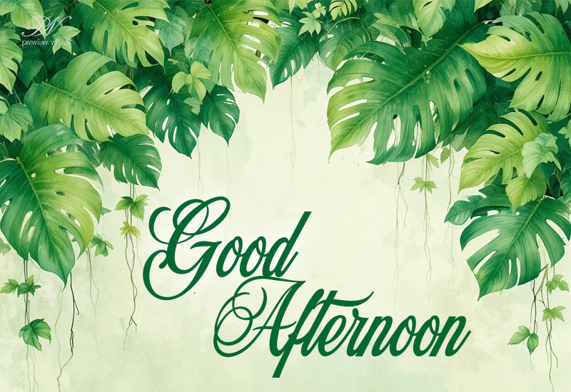 Good Afternoon Wishes with Green Tropical Leaves and Refreshing Calm