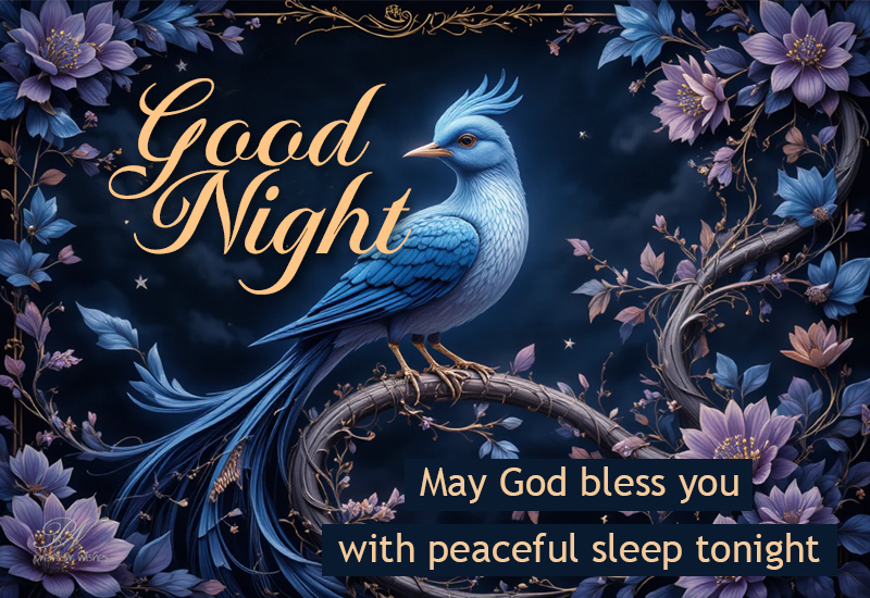 Good Night Wishes with a Blue Bird and Blessings for Peaceful Sleep