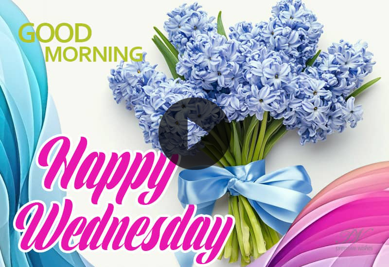 Happy Monday Blessings Video with Beautiful Floral Greetings Happy Monday Blessings Video with Beautiful Floral Greetings