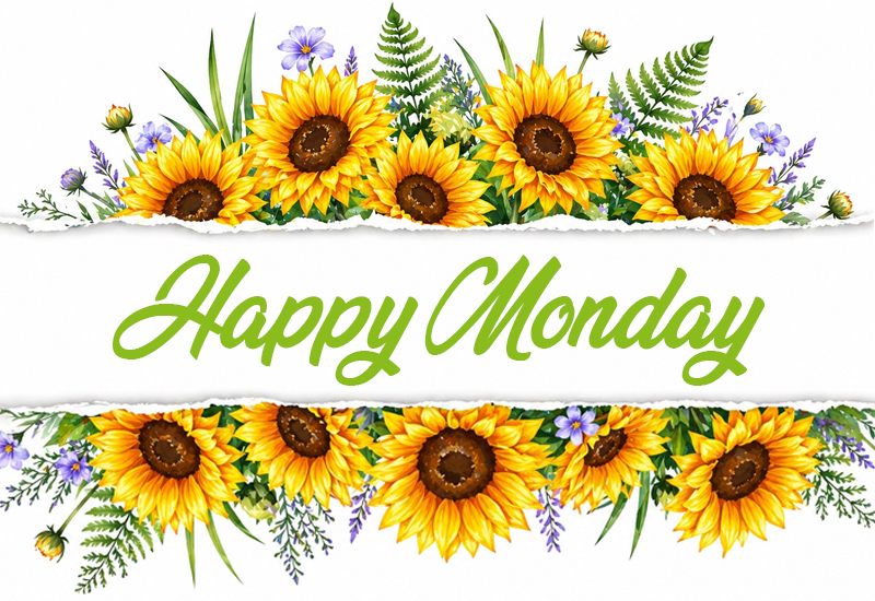 Happy Monday Sunflower Wishes – Bright Start and Positive Week