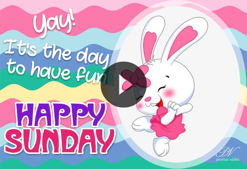Happy Sunday Wishes Video with Cute Animal Greetings Happy Sunday Wishes Video with Cute Animal Greetings