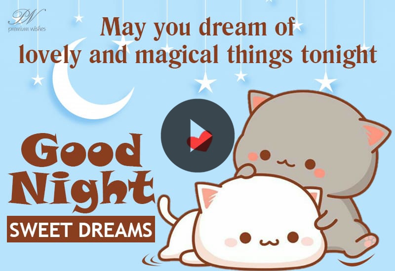 Cute Good Night Wishes – Sweet Dreams Bedtime Greetings