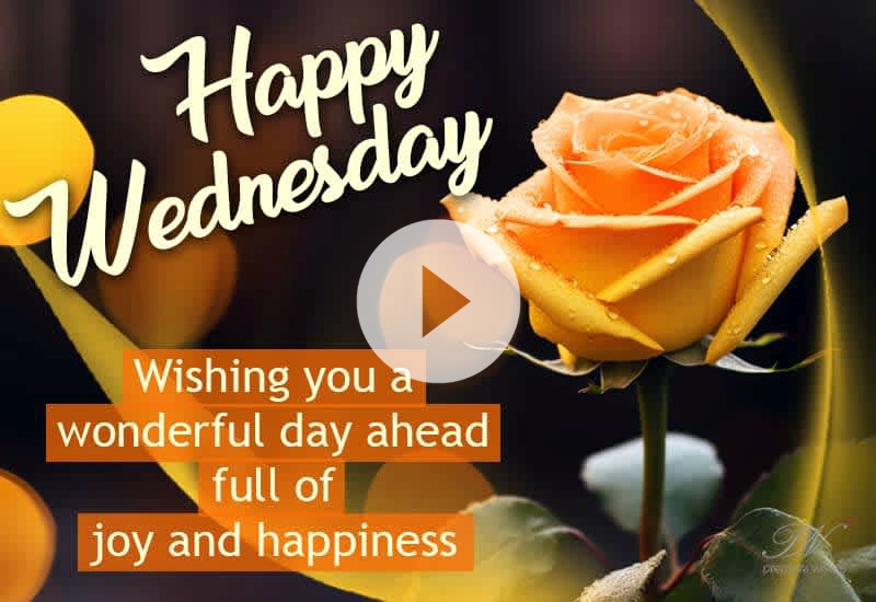 Beautiful Happy Wednesday Wishes with Roses and Floral Greetings