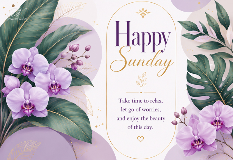 Happy Sunday – Relax, Let Go & Enjoy The Day Happy Sunday – Relax, Let Go & Enjoy The Day
