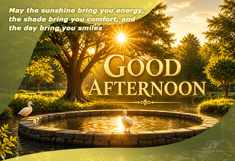 Good Afternoon Sunshine Lake Wishes – Peaceful Greeting