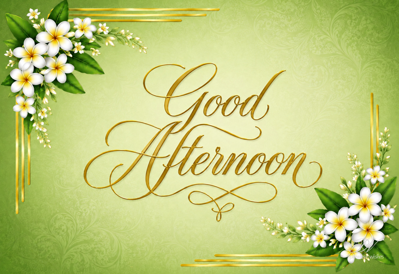 Good Afternoon White Floral Elegance – Peaceful Greeting