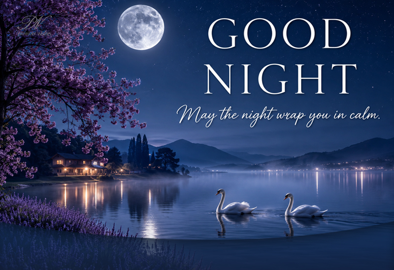 Good Night May the Night Wrap You in Calm Greeting Good Night May the Night Wrap You in Calm Greeting