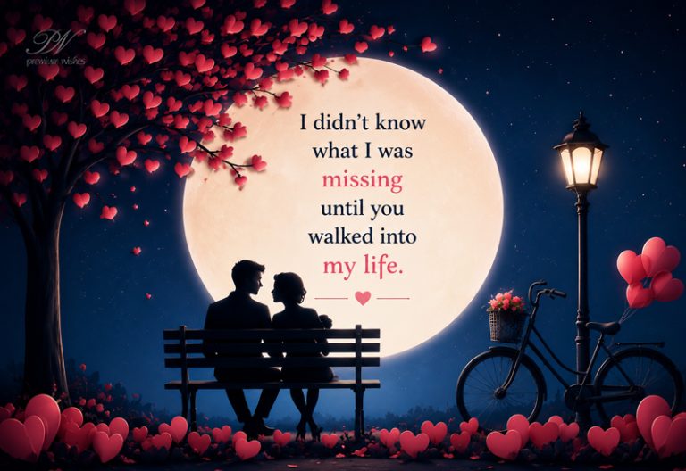 I Didn’t Know What I Was Missing Until You Walked Into My Life I Didn’t Know What I Was Missing Until You Walked Into My Life