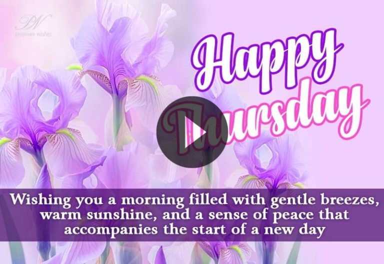 Floral Thursday Morning Messages and Cheerful Wishes Floral Thursday Morning Messages and Cheerful Wishes
