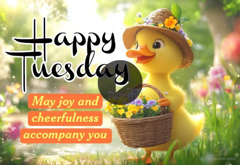 Happy Tuesday Wishes With Cute Characters and Cheerful Messages Happy Tuesday Wishes With Cute Characters and Cheerful Messages