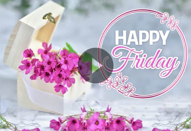 Happy Friday Pink Flower Wishes and Weekend Greeting Video Happy Friday Pink Flower Wishes and Weekend Greeting Video