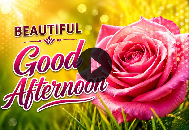 Beautiful Good Afternoon Wishes with Flowers to Brighten the Day Beautiful Good Afternoon Wishes with Flowers to Brighten the Day