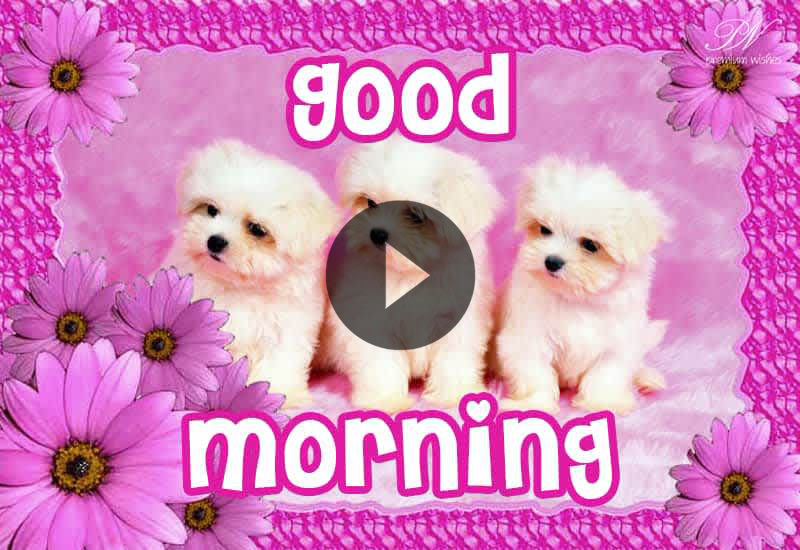 Cute Good Morning Wishes with Dogs and Puppies Cute Good Morning Wishes with Dogs and Puppies