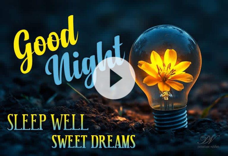 Good Night Wishes with Beautiful Yellow Flowers and Sweet Dreams Good Night Wishes with Beautiful Yellow Flowers and Sweet Dreams
