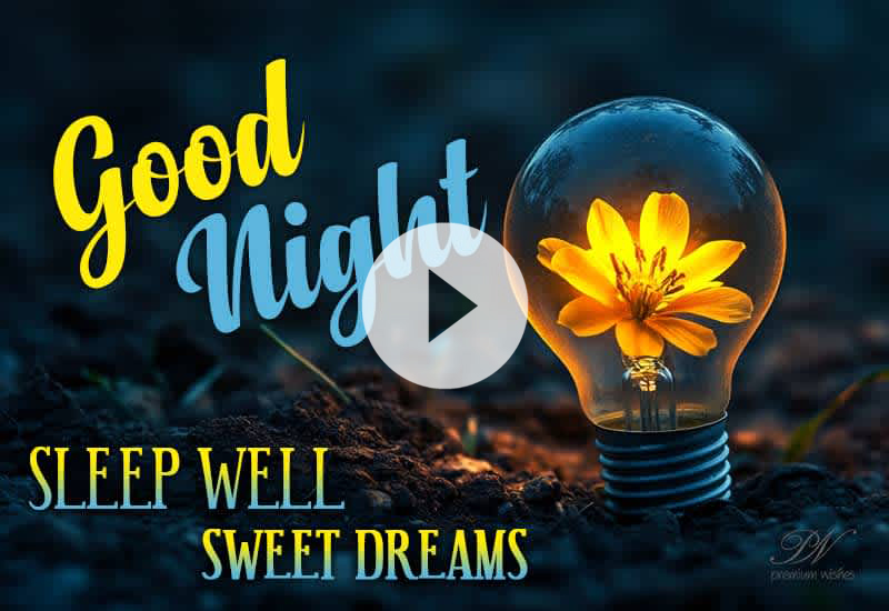 Good Night Wishes with Beautiful Yellow Flowers and Sweet Dreams Good Night Wishes with Beautiful Yellow Flowers and Sweet Dreams