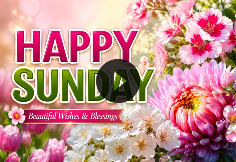 Happy Sunday Wishes with Beautiful Flowers and Positive Messages Happy Sunday Wishes with Beautiful Flowers and Positive Messages