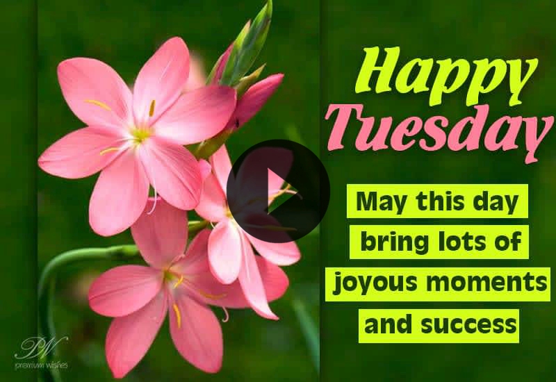 Happy Tuesday Wishes and Beautiful Tuesday Greetings Happy Tuesday Wishes and Beautiful Tuesday Greetings