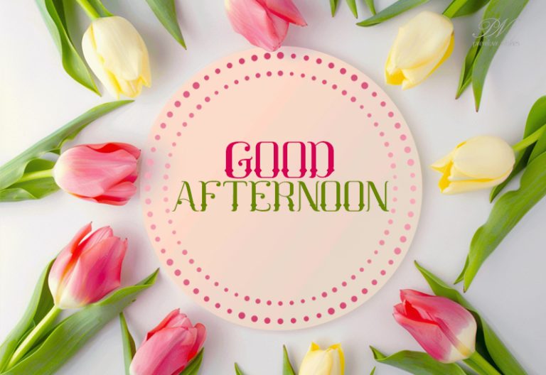 Good Afternoon Wishes