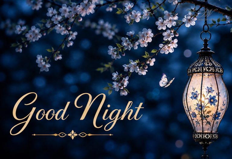 Good Night Wishes