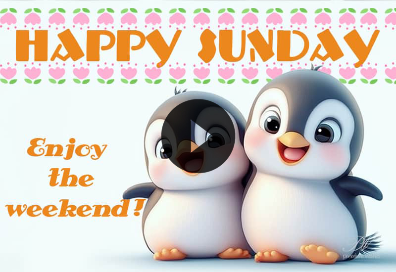 Happy Sunday Wishes – Relax, Enjoy & Have Fun
