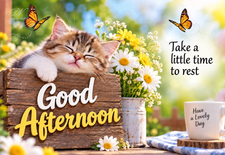 Good Afternoon Wishes