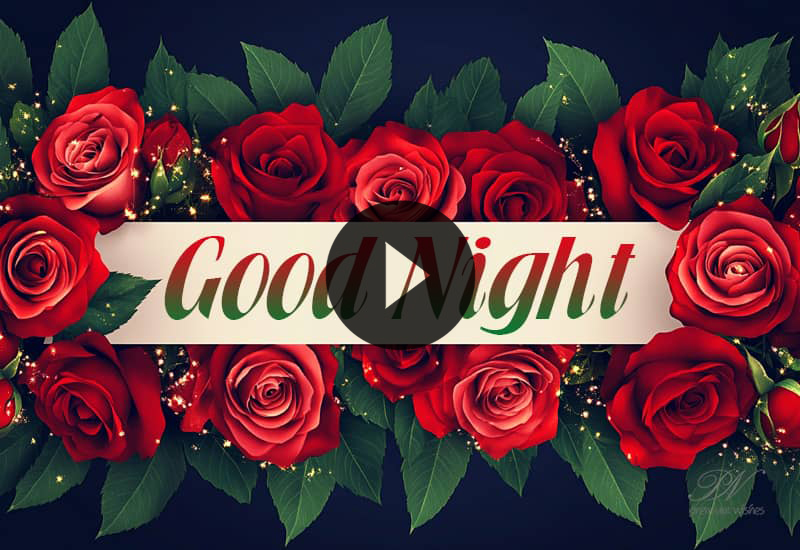 Good Night Red Roses & Sweet Dreams | Peaceful Good Night Wishes Video Good Night Red Roses & Sweet Dreams | Peaceful Good Night Wishes Video