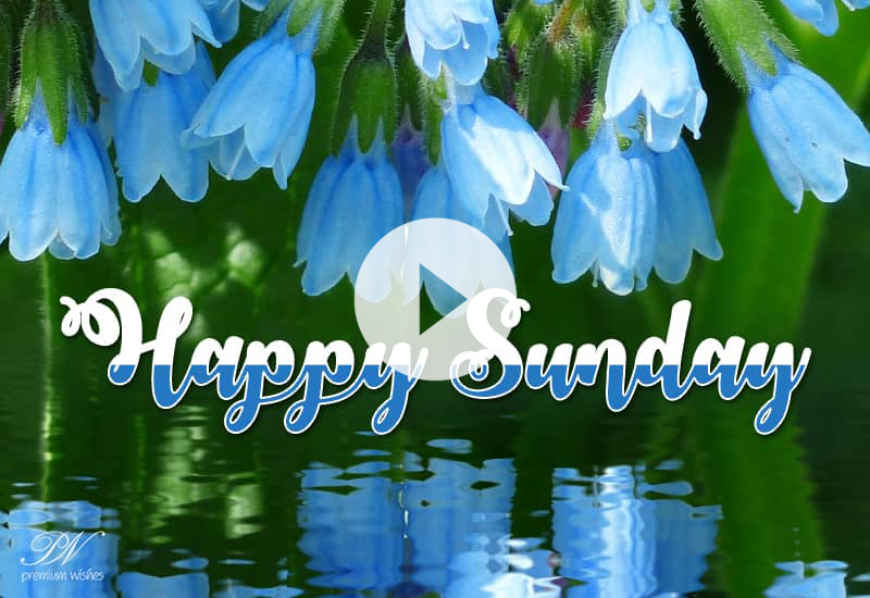 Happy Sunday Wishes – Beautiful Sunday Greetings Happy Sunday Wishes – Beautiful Sunday Greetings