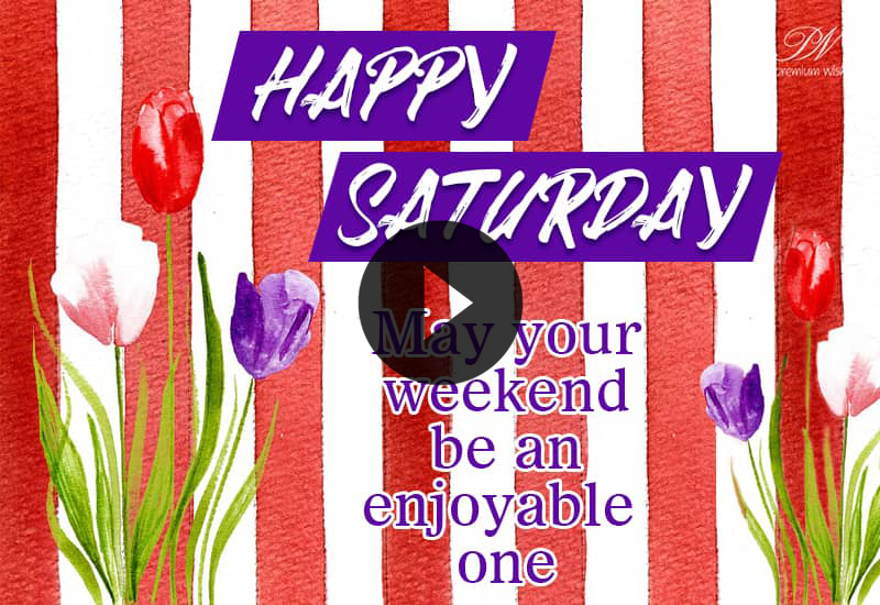 Happy Saturday Tulip Wishes – Beautiful Saturday Morning Greetings Happy Saturday Tulip Wishes – Beautiful Saturday Morning Greetings