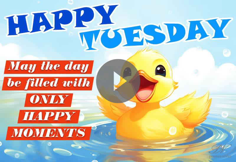 Happy Tuesday Good Morning Greetings – Beautiful Tuesday Wishes Happy Tuesday Good Morning Greetings – Beautiful Tuesday Wishes