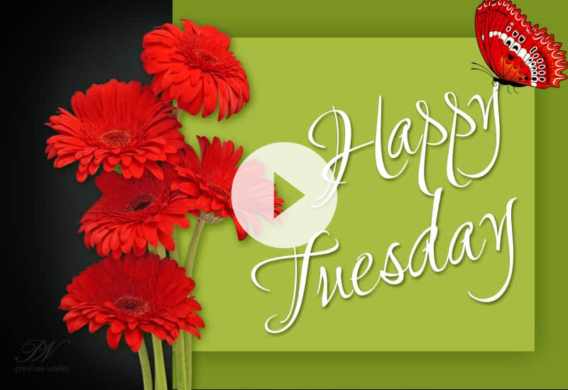 Happy Tuesday Wishes – Beautiful Tuesday Greetings to Brighten Your Day Happy Tuesday Wishes – Beautiful Tuesday Greetings to Brighten Your Day