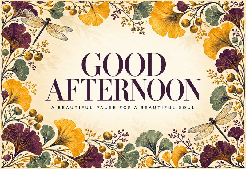 Good Afternoon – A Beautiful Pause for a Beautiful Soul